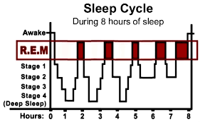 ciclul somnului