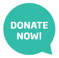 donate now